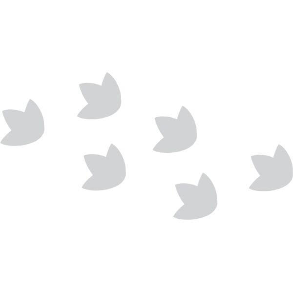 Cartoon Dinosaur Foot Prints 1 Thumbnail