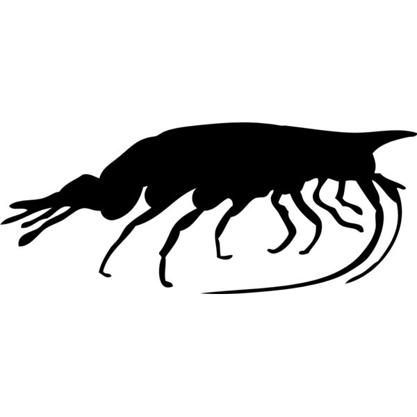 Shrimp Silhouette 3 Thumbnail