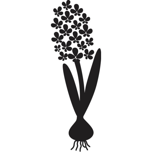 Hyacinth Flower Silhouette 1 Thumbnail