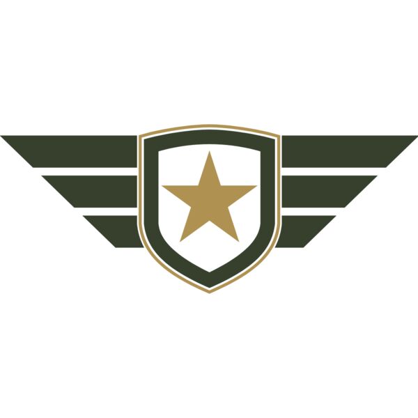 Military Star Shield Badge Wings 1 Thumbnail