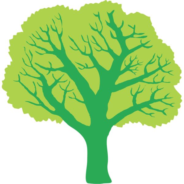 Summer Tree 6 Thumbnail