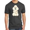 Core Cotton Ringer Tee Thumbnail